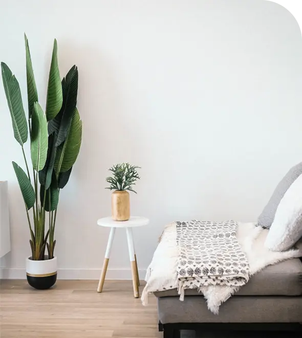 sofa